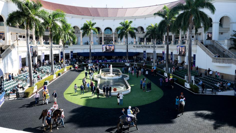 Noel Michaels handicapping, Americas Best Racing Sunday Selections, Gulfstream Park